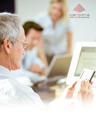 Consulting - Carolina Web Consultants