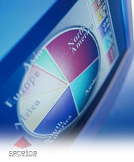 Carolina Web Consultants Web Clients -