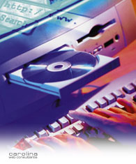 Web Site Hosting