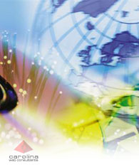 Web Site Design - Carolina Web Consultants