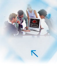 Program Management - Carolina Web Consultants